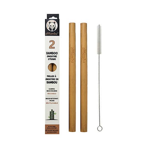 IN STOCK SALE Bamboo Smoothie Straw - Pack of 2